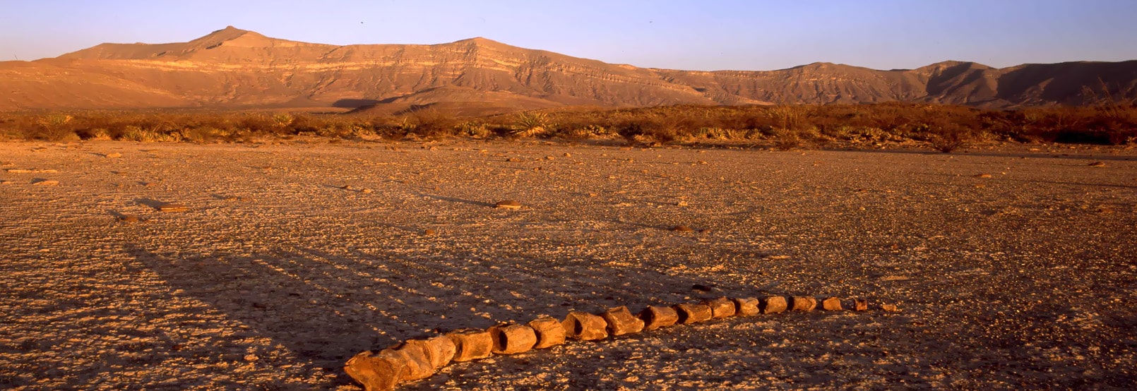 RUTA PALEONTOLÓGICA DE COAHUILA